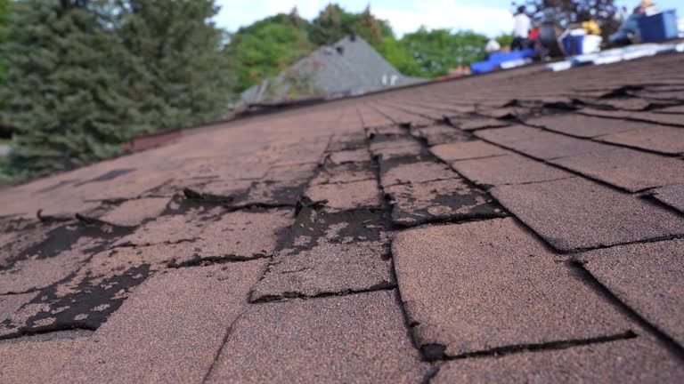 Best Roofing for New Construction  in Estero, FL