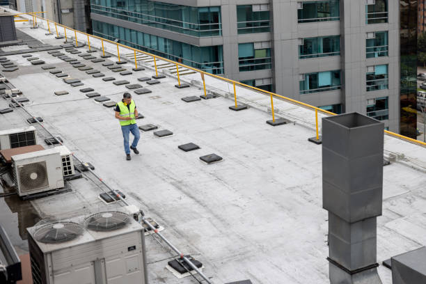 Best Skylight Installation and Repair  in Estero, FL