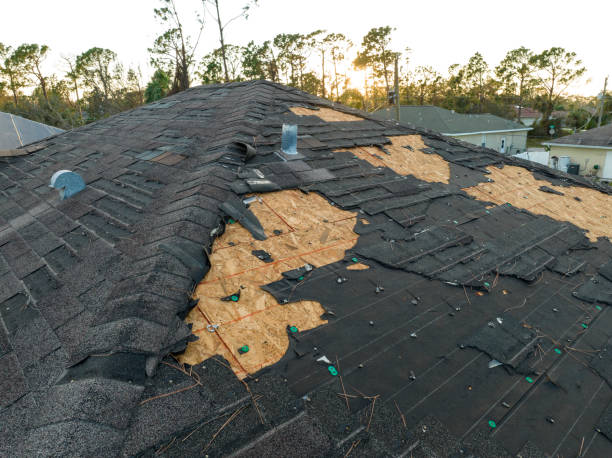 Best Chimney Flashing Repair  in Estero, FL